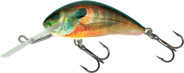 Salmo Crankbait Hornet Floating 90 mm Doré | Waveinn Salmo Crankbait Hornet Floating 90 mm Doré | Waveinn