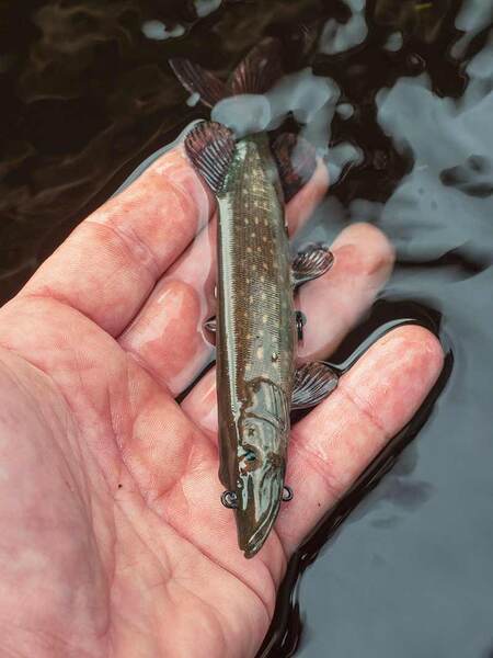 Fox Rage Ultra-Realistic Pike Replicant Swimbait 15cm (30g)