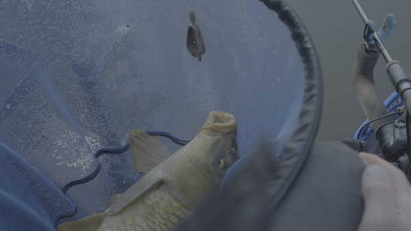 Map Alimentador en Línea Empotrado (Sin Plomo)