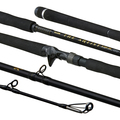 Illex The Artist X5 B 250 XH Notorious Pike Baitcaster 2.51m (150g)
