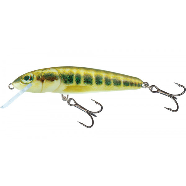 Salmo Minnow Floating