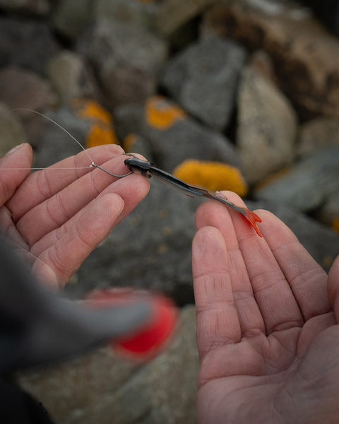 Fox Rage Ultra Natural Fillet Shad 6cm (4 Stuks)