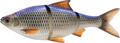 Savage Gear 3D Line Thru Roach Slow Sinking Shad 18cm (80g)