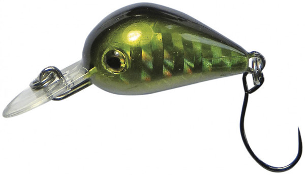 Behr Trendex Mini-Pop 2,5cm - 05