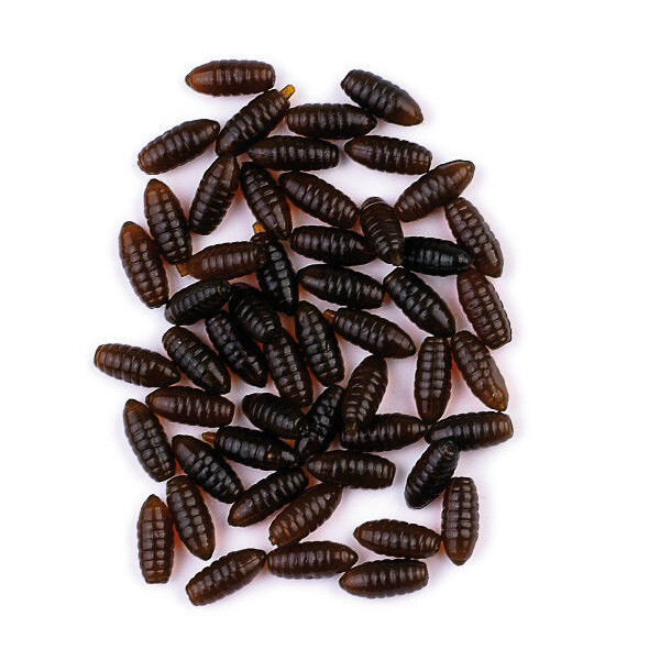 Behr Trendex Imitatie Casters - Medium bruin