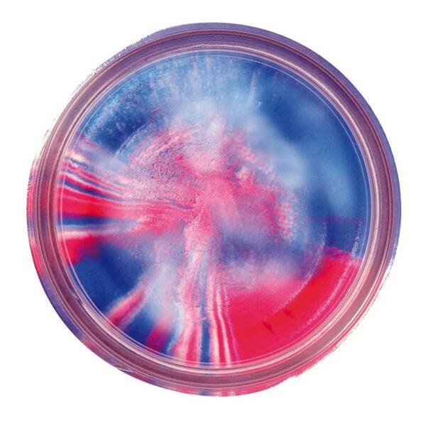 Berkley PowerBait® Natural Glitter Trout Dough 50g - Garlic Captain America Glitter