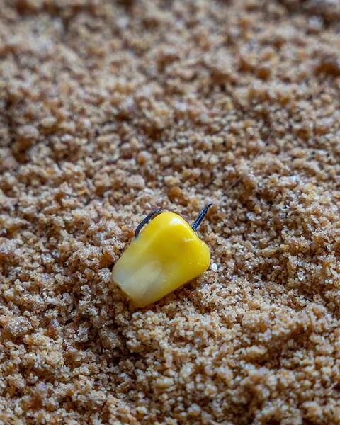 Matrix X2B Wide Gape Feeder Coarse Hooks (10 pieces)