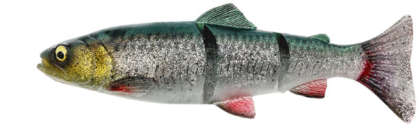 Savage Gear 4D Line Thru Trout 25cm 180gr Slow Sinking - Green Silver