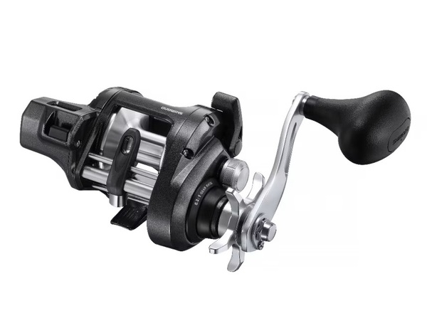 Shimano Tekota A Zoutwater Reel - 501
