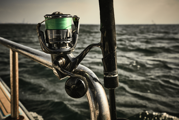 Shimano Twin Power Molen