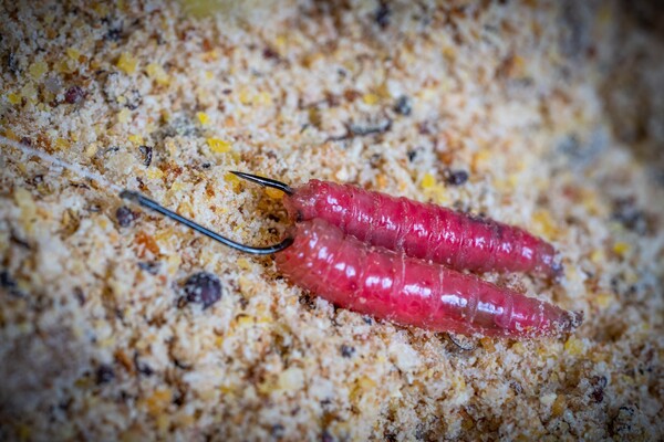 Guru Match Special Barbed Anzuelo para Pez Blanco (10 piezas)