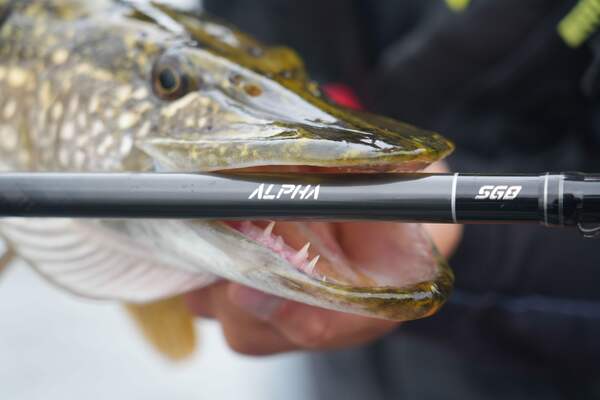 Savage Gear Alpha SG8 Monster Baitcaster 