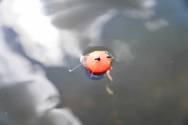 Spławik Korum Floating Feeder (3g)