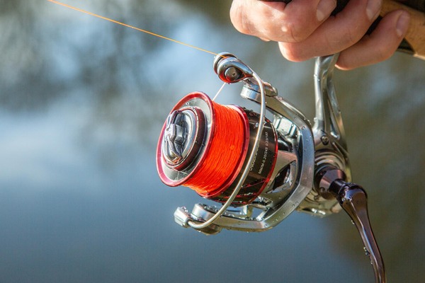 Ultimate Chikara Spider Spinmolen