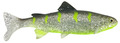 Uni Cat Trout Softbait 20cm - BGT