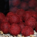 Trybion Boilies Cyprinus Max (800g)