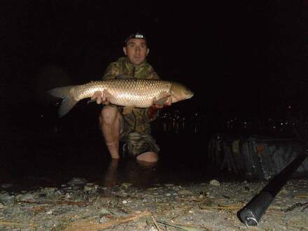 Il vincitore precedente