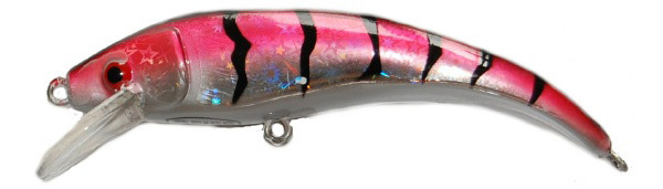 Baitcastingset mit Gunki Rute, Spro Rolle und mehr!