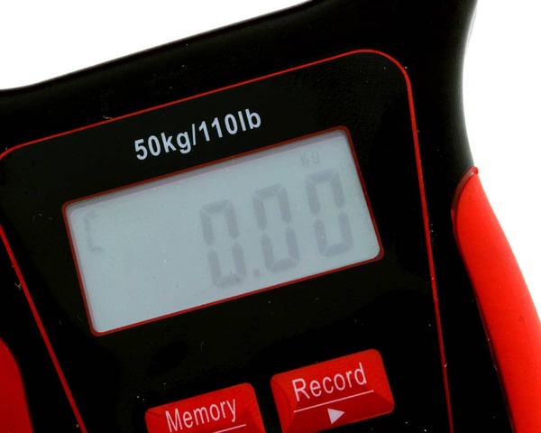 Rozemeijer Floating Digital Scale With Thermometer (50kg/110lb)