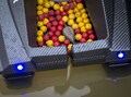 BaitStar Baitboats Xpert Black AllinOne Voerboot (Baitthrower, GPS & Dieptemeter)
