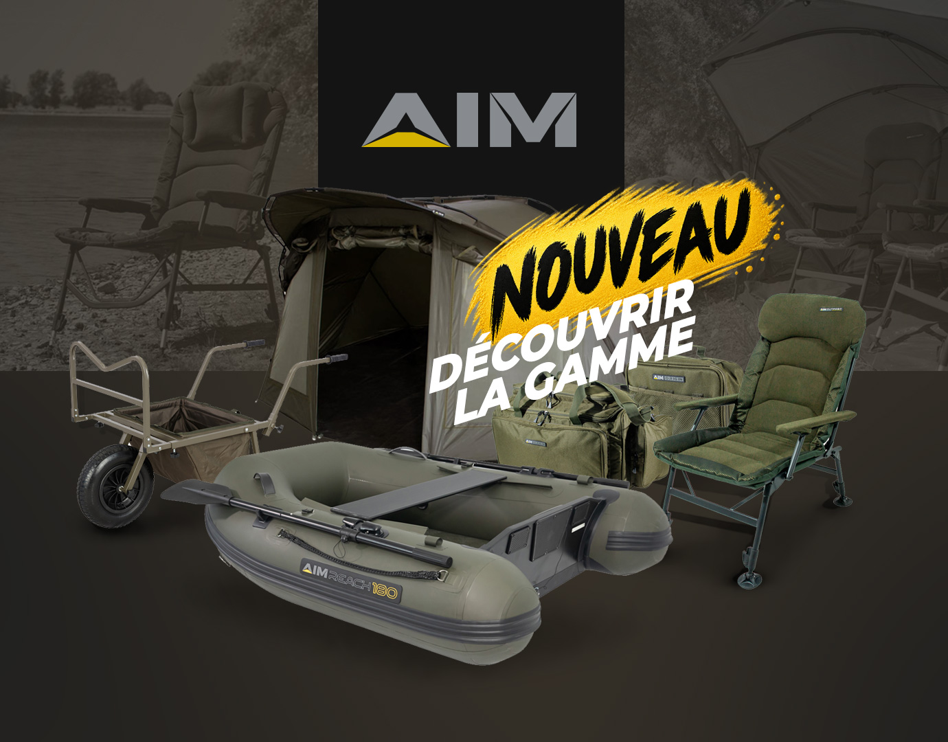 Subbanner: AIM