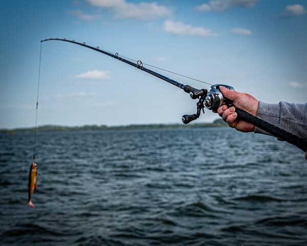 Savage Gear Alpha SG8 Monster Baitcaster 