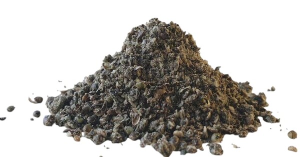 Zammataro Hemp Roasted (800g)