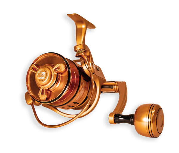 Vagner Bagrus Meerval Molen