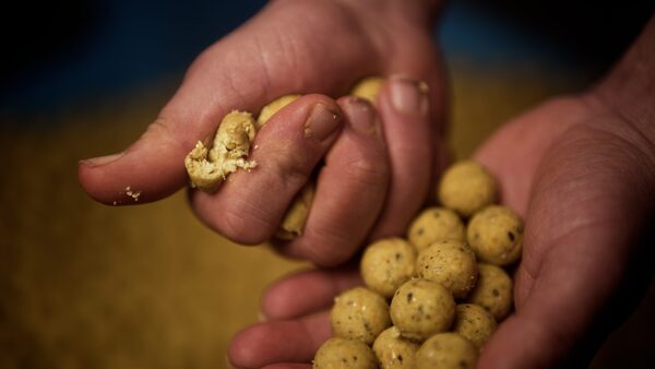 Tactic Carp Instant Maggot Pack