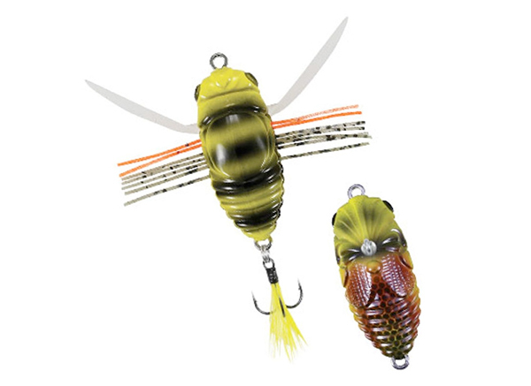 DUO Realis Shinmushi - ACC3216 - Joro Spider