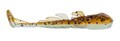 X Zone 3" Stealth Invader Shad 7,62 cm (6 Stück) - 309