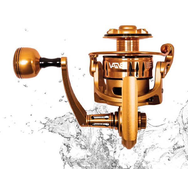 Vagner Bagrus Meerval Molen