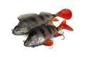 Fox Rage Ultra Natural Replicant Swimbait 28cm - Perch