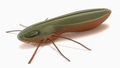 Nays BG 2,5" 6,4 cm Creaturebait (6 pzas.) - C-29