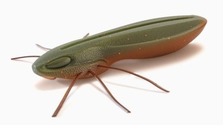 Nays BG 2.5" C-05 6.4cm Creaturebait (6 pzas.)