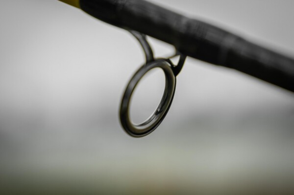 Black Cat Perfect Passion X Bank Meervalhengel