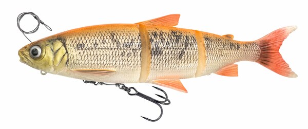 Savage Gear 3D Line Thru Swimbait Whitefish 17cm (53g) - Color Gold Albino 