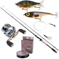 Ultimate Vital Baitcasting Hengelset