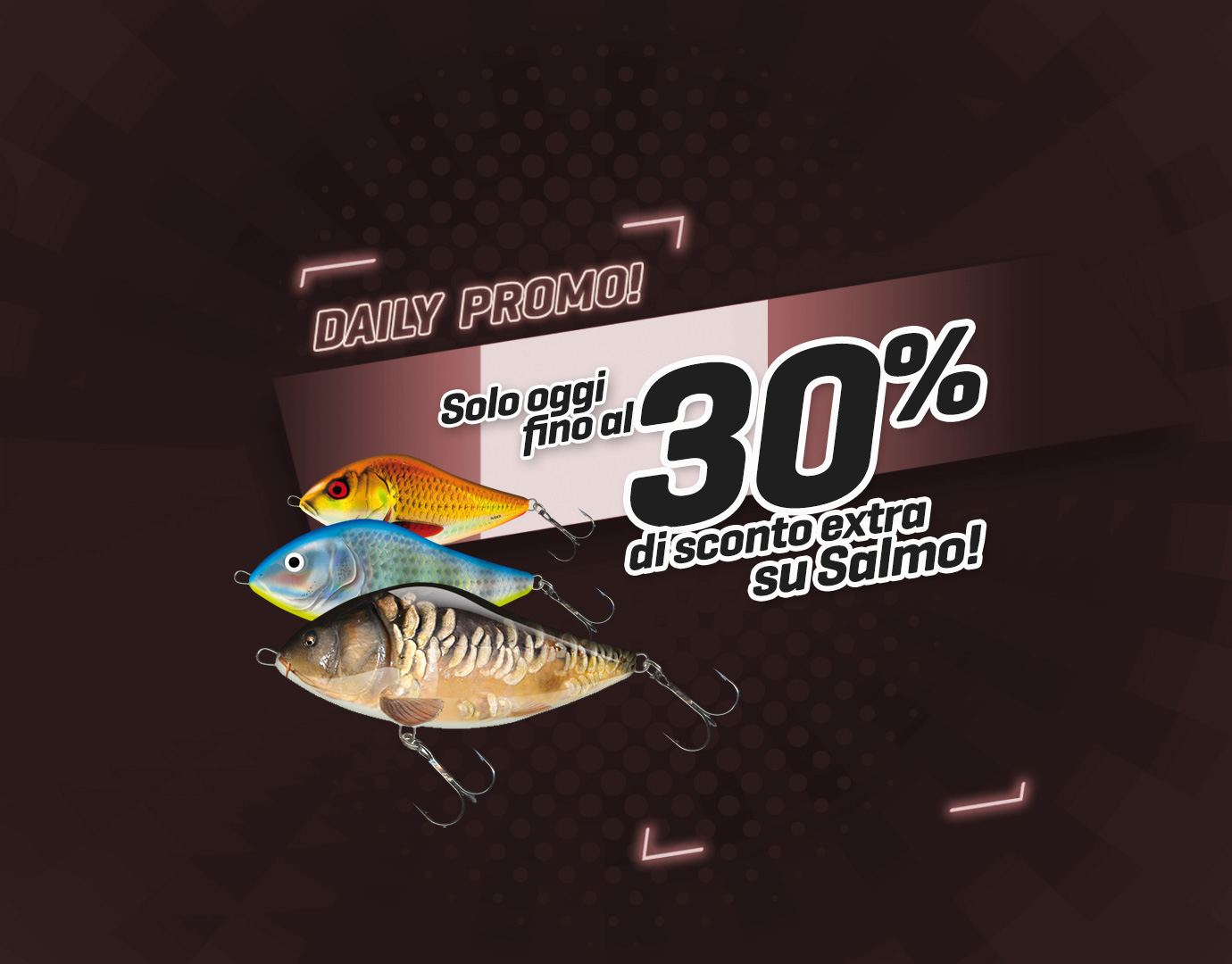 Subbanner: Tot 30% Salmo