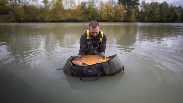 Avid Carp Compact Carp Cradle