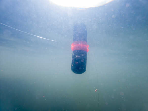 Spławik Korum Floating Feeder (3g)