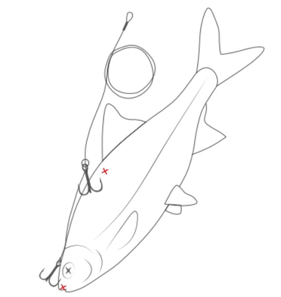 Westin Multi-Purpose Dead bait Rig Semi Barbed (50cm)