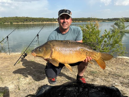 Ganador anterior
