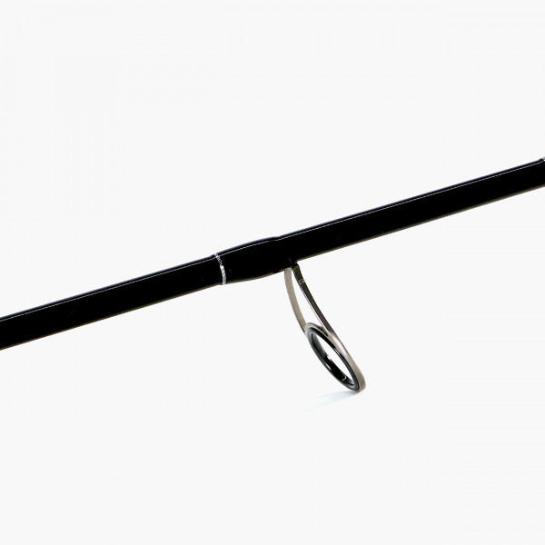 Shimano Bassterra Sea Bass