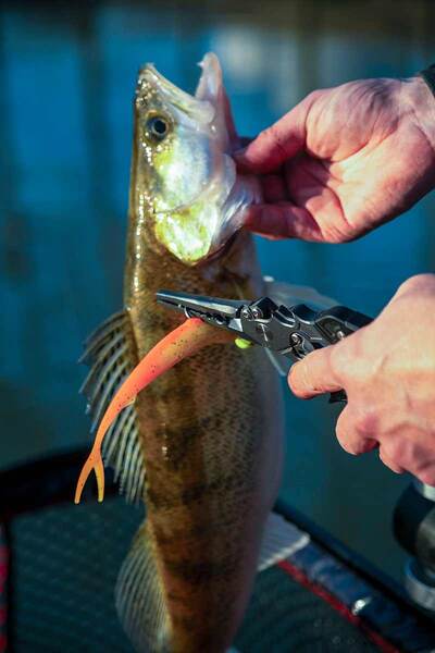 Fox Rage Alicates Con Cordón para Cinturón