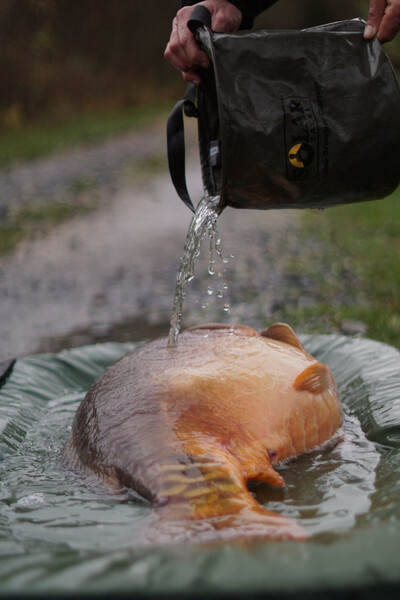 Solar UnderCover Camo Foldable Unhooking Mat