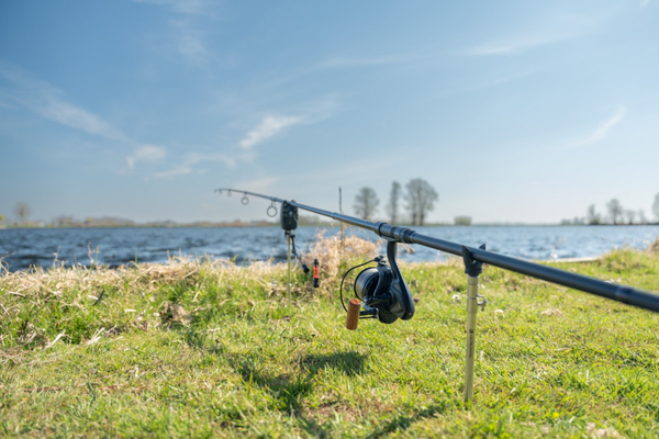 Zestaw Sygnalizatorów Ultimate UX-Guard 3+1 