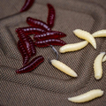 Korum Floating Grubs Imitatiemaden (40pcs)