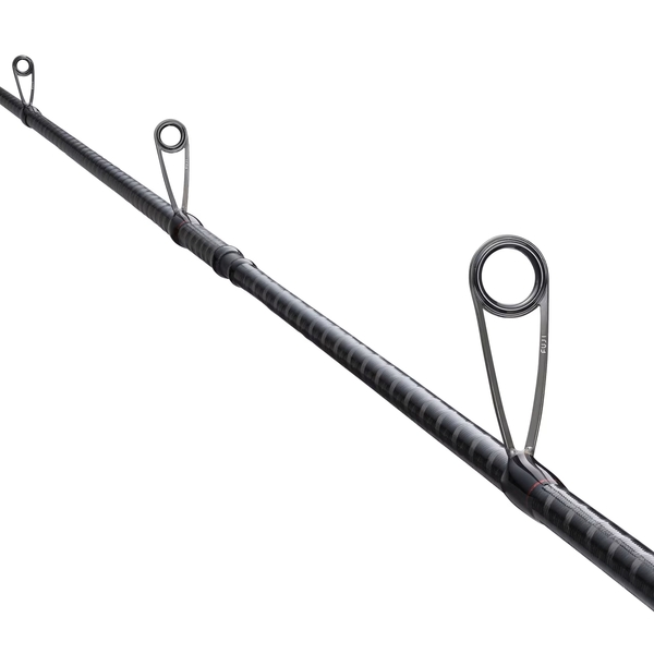 Canna da Eging Shimano Sephia BB EGI 