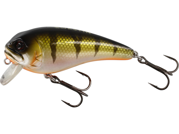 Westin FatBite Crankbait 5,5cm - Bling Perch